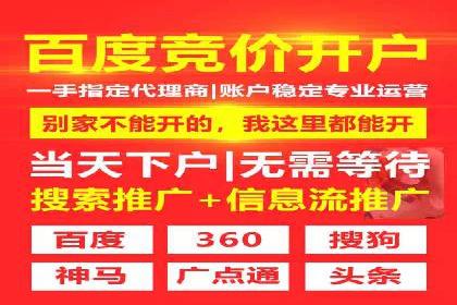 专业SEM服务公司案例分析报告