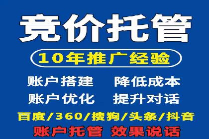 揭秘SEM竞价托管：实战案例深度解析